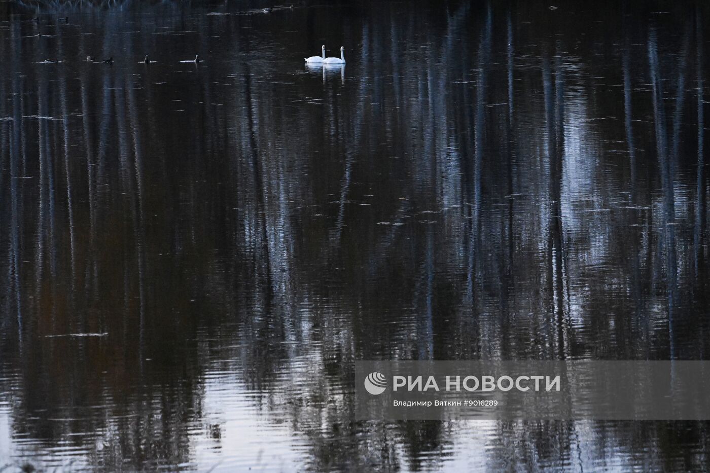 Осень в Алтайском крае