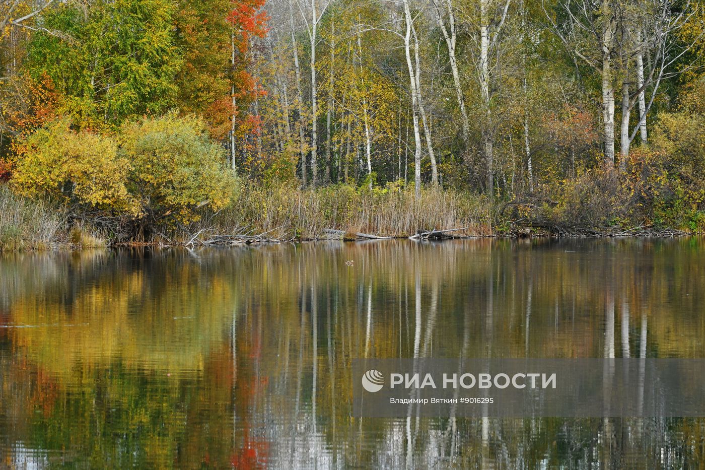 Осень в Алтайском крае