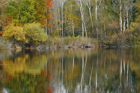 Осень в Алтайском крае