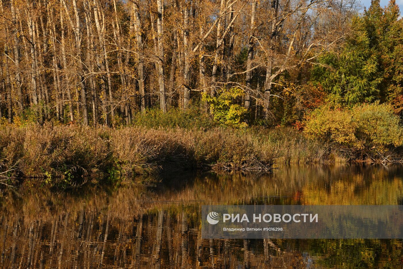 Осень в Алтайском крае