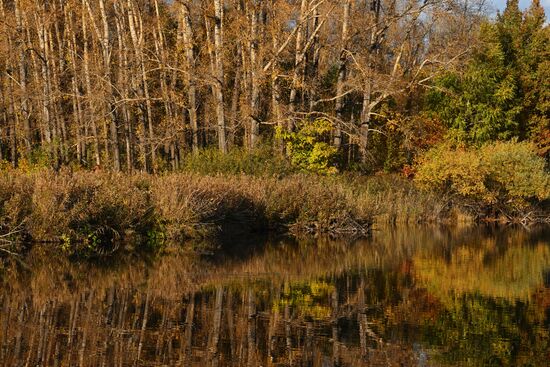 Осень в Алтайском крае