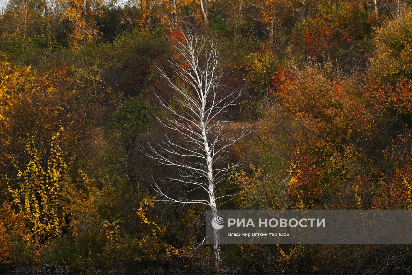 Осень в Алтайском крае