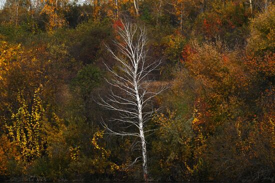 Осень в Алтайском крае