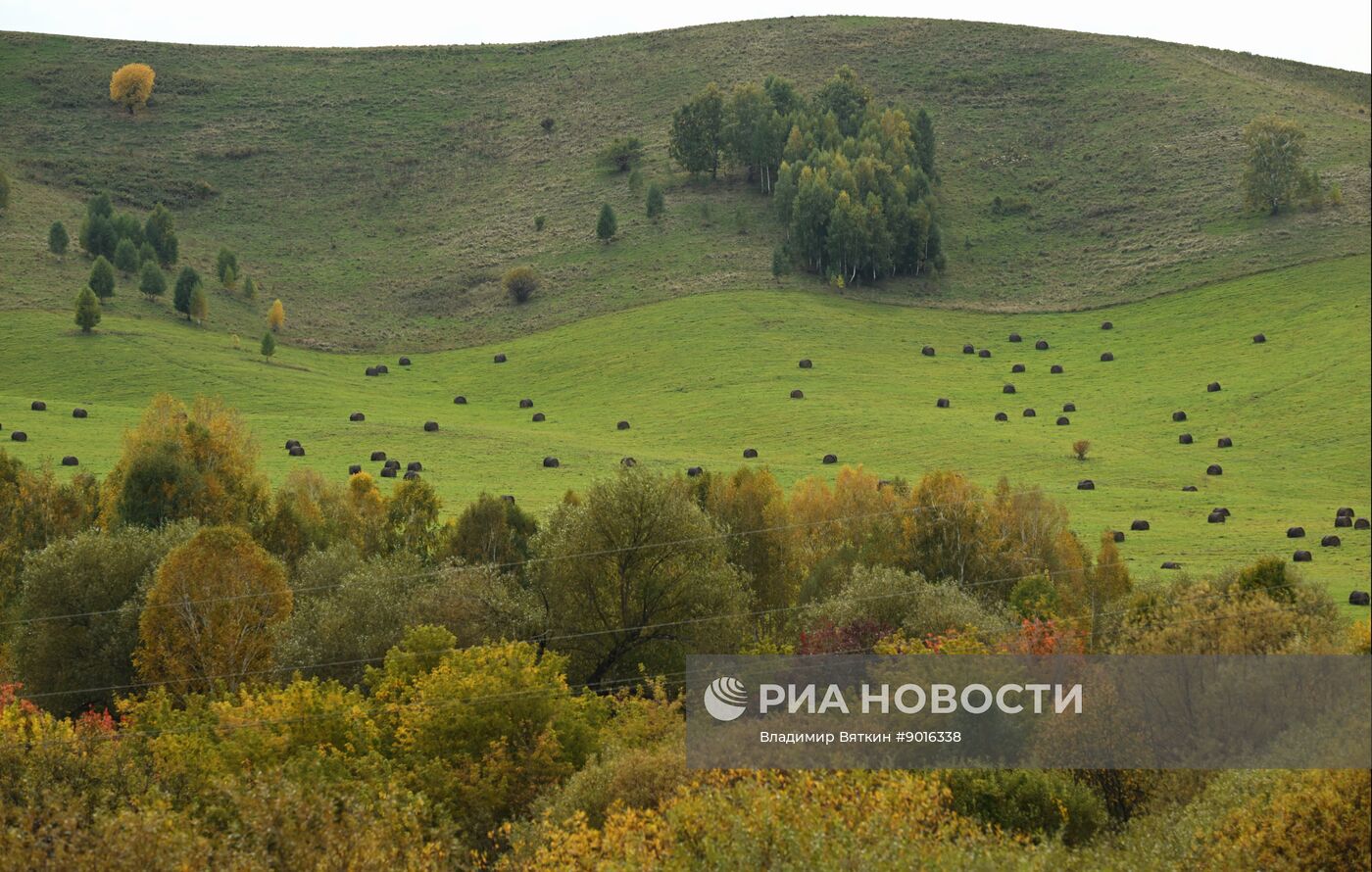 Осень в Алтайском крае