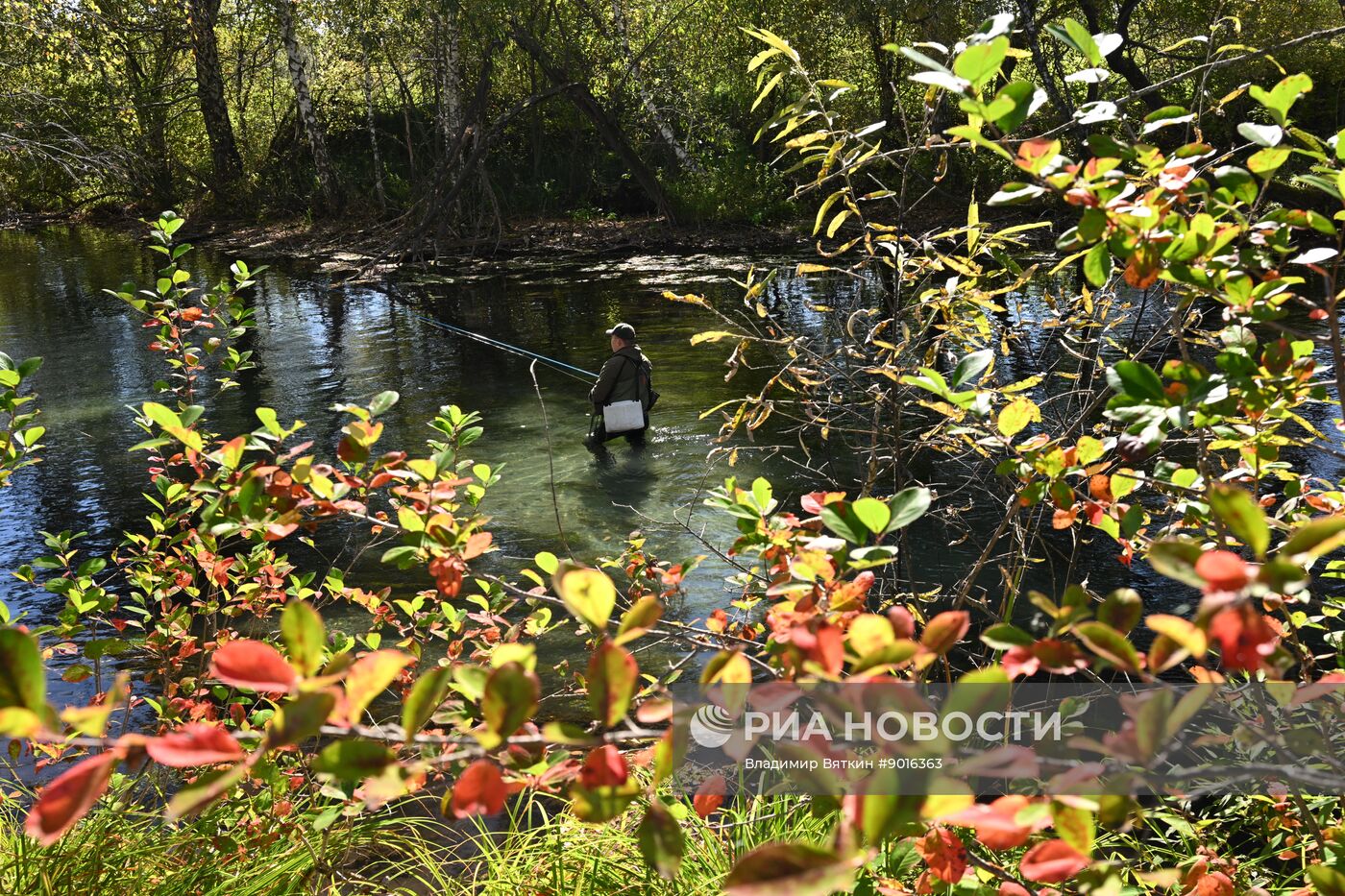 Осень в Алтайском крае