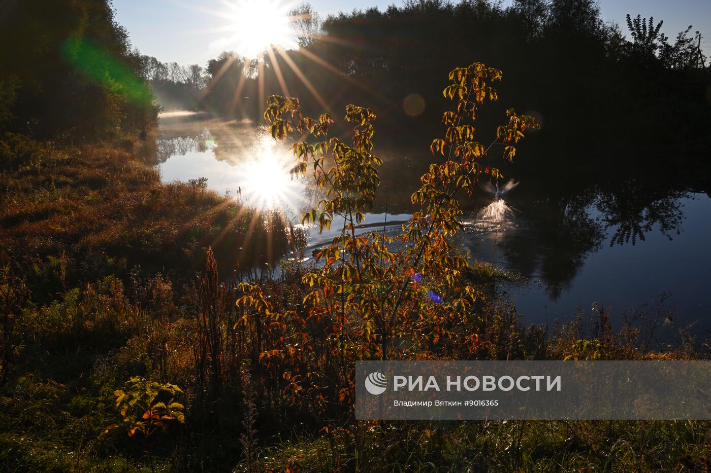 Осень в Алтайском крае