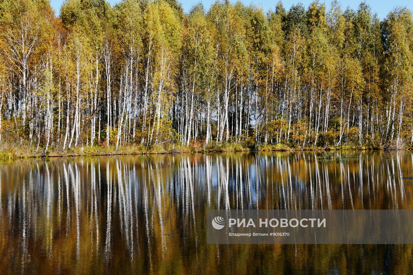 Осень в Алтайском крае