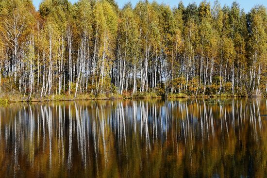 Осень в Алтайском крае