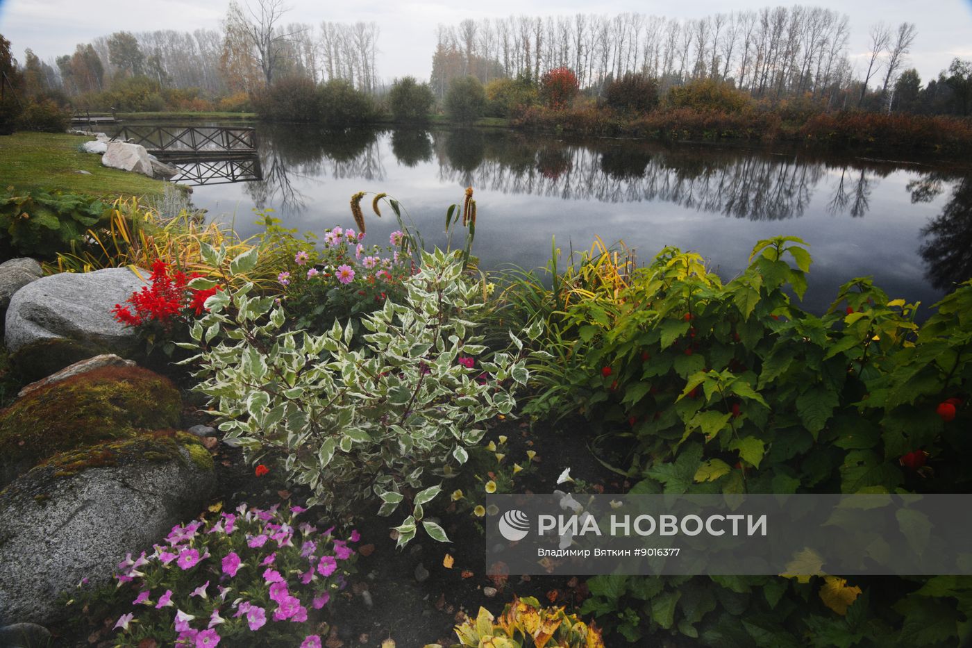 Осень в Алтайском крае