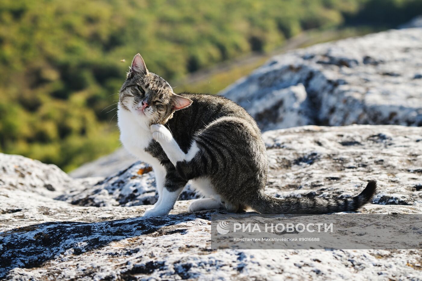 Пещерный город Эски-Кермен в Крыму