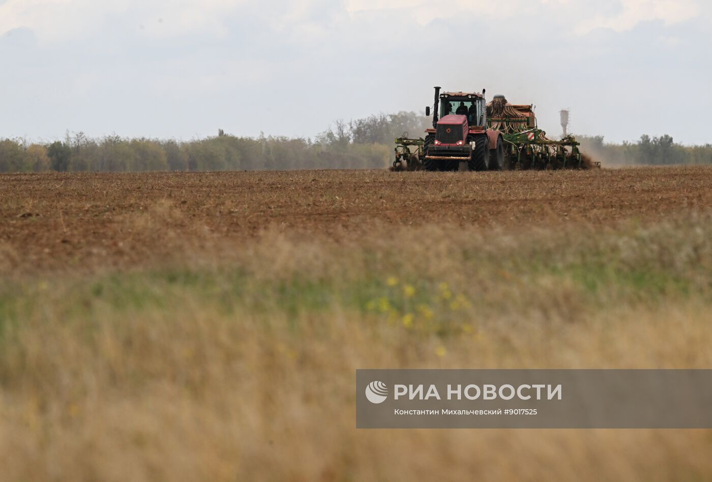 Начало сева озимых культур в Крыму