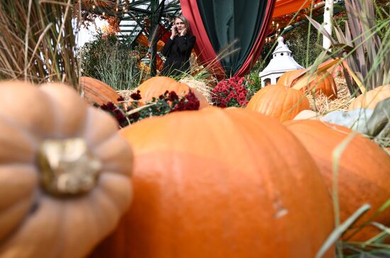 Фестиваль "Московские сезоны" на Манежной площади