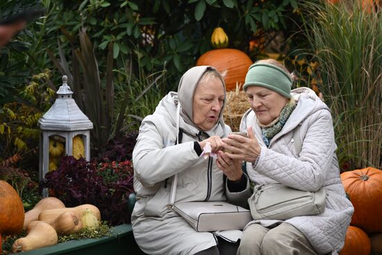 Фестиваль "Московские сезоны" на Манежной площади