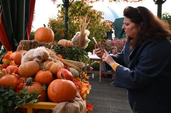 Фестиваль "Московские сезоны" на Манежной площади