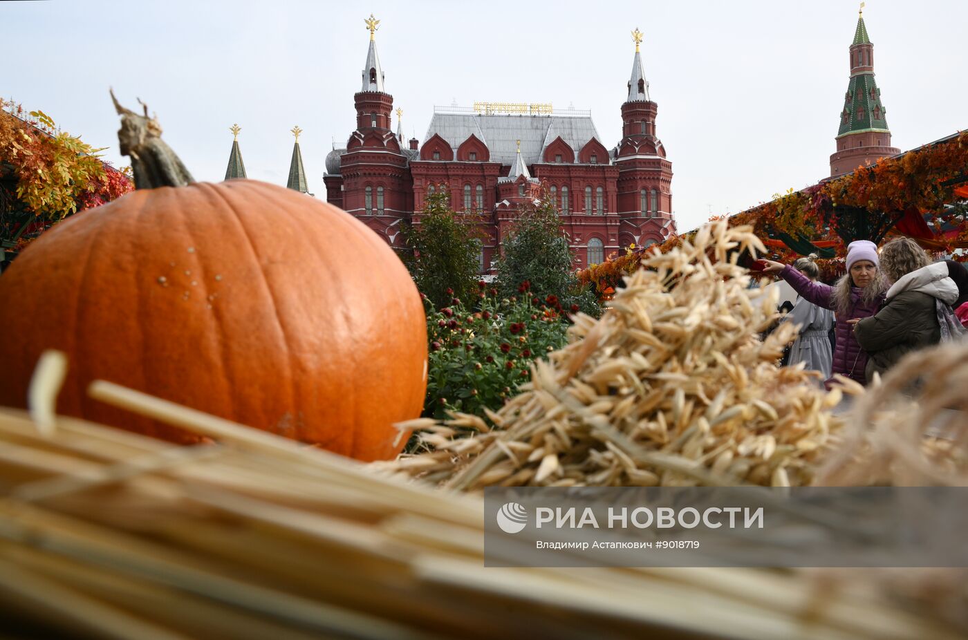 Фестиваль "Московские сезоны" на Манежной площади