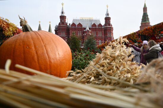 Фестиваль "Московские сезоны" на Манежной площади