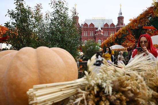 Фестиваль "Московские сезоны" на Манежной площади