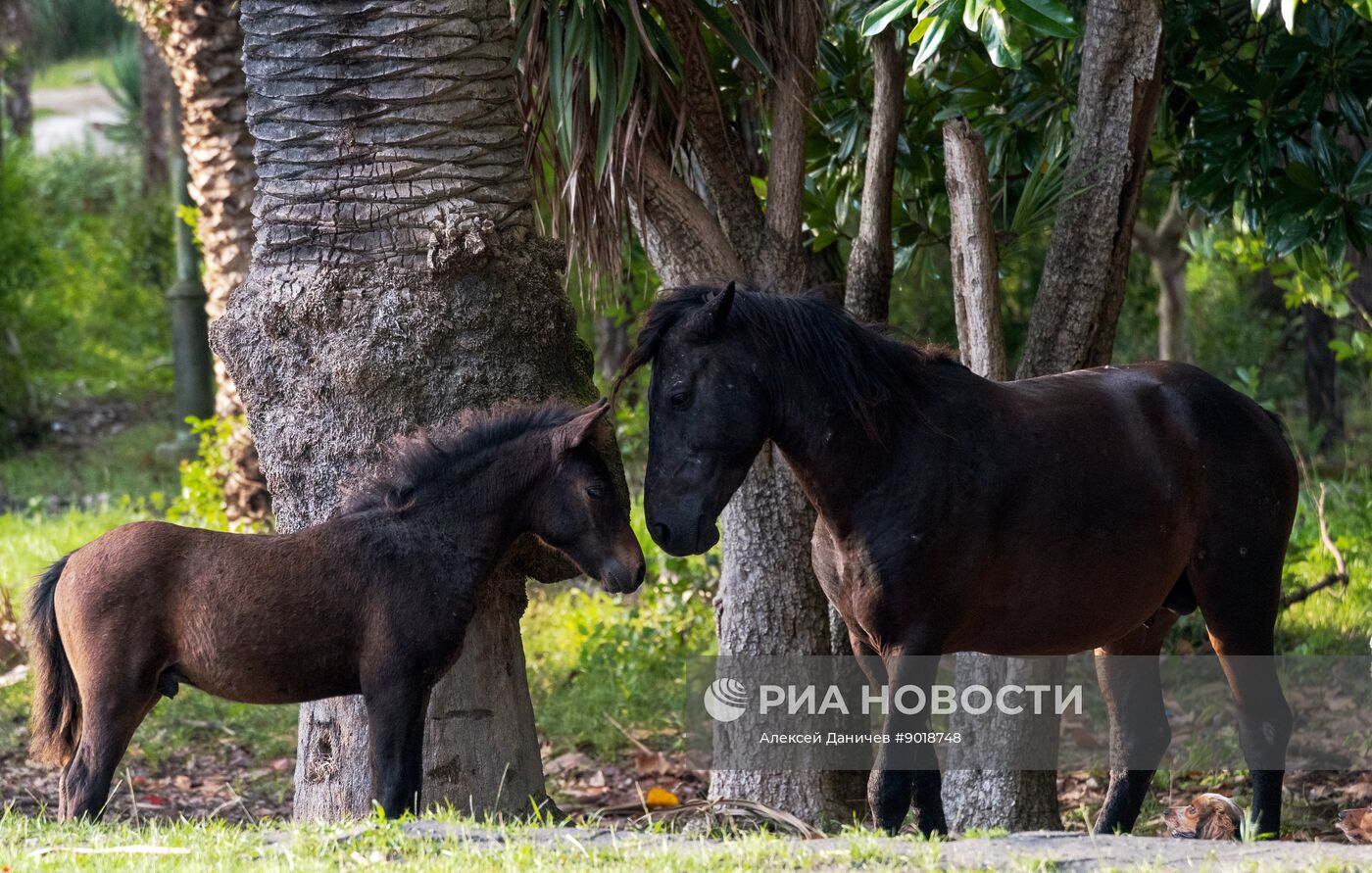 Виды Абхазии
