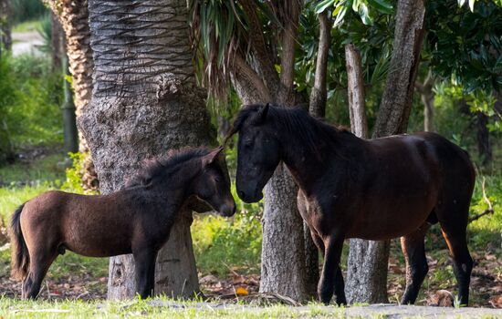 Виды Абхазии