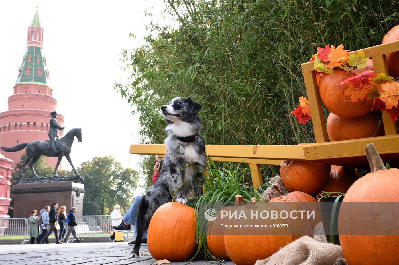 Фестиваль "Московские сезоны" на Манежной площади