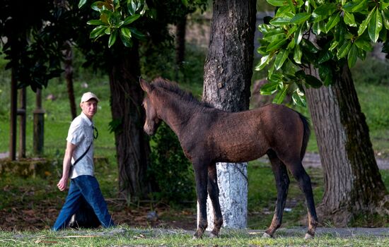 Виды Абхазии