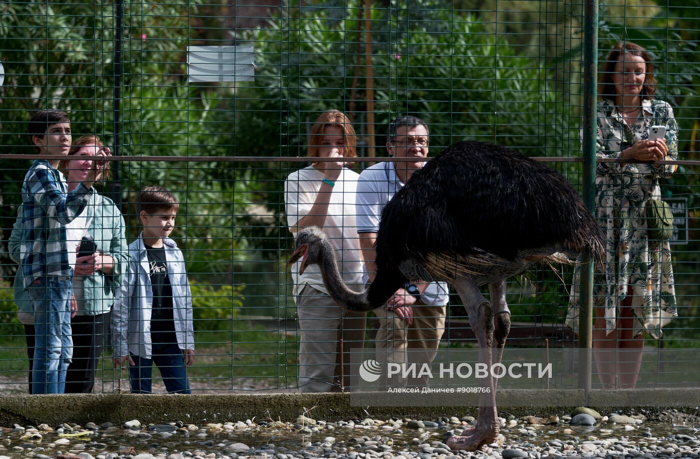 Виды Абхазии
