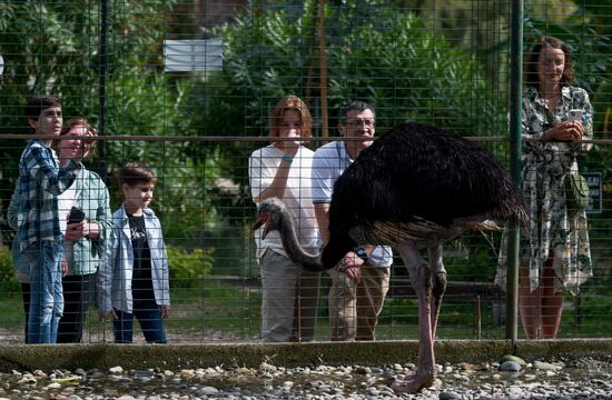 Виды Абхазии