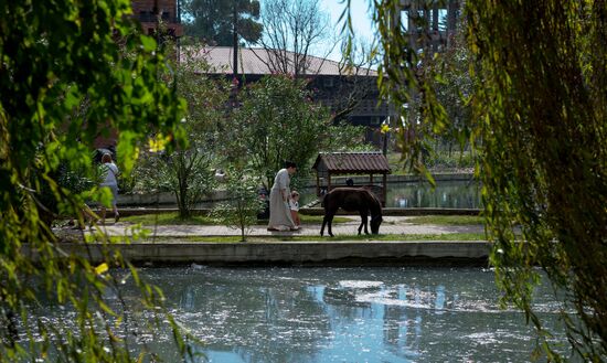 Виды Абхазии