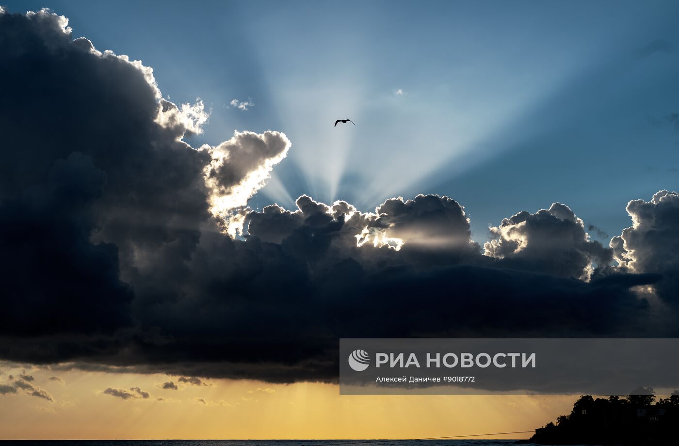 Виды Абхазии