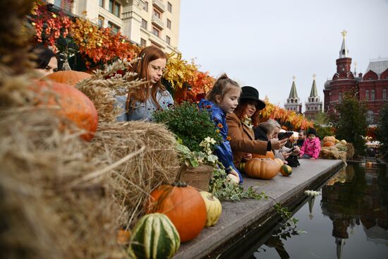 Фестиваль "Московские сезоны" на Манежной площади