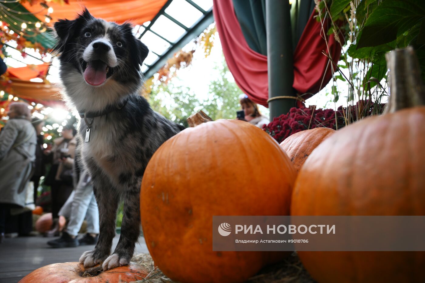 Фестиваль "Московские сезоны" на Манежной площади