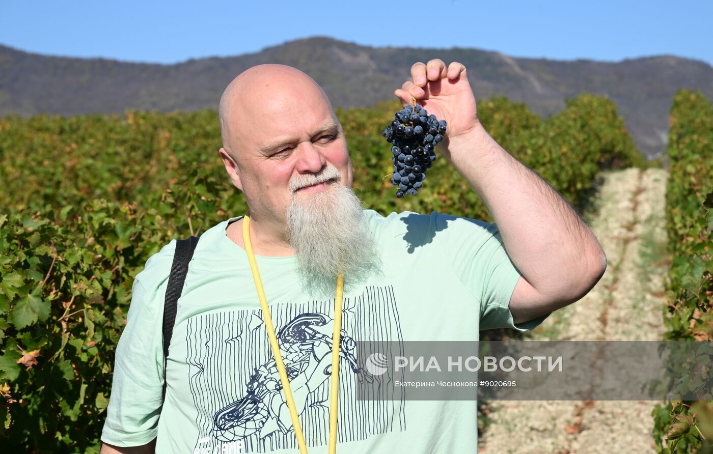 Фестиваль актуального российского кино "Маяк" в Геленджике