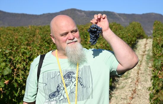 Фестиваль актуального российского кино "Маяк" в Геленджике