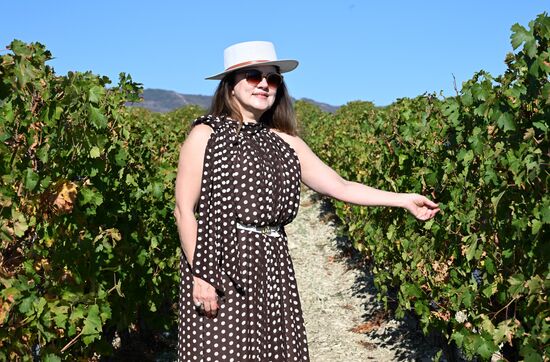 Фестиваль актуального российского кино "Маяк" в Геленджике