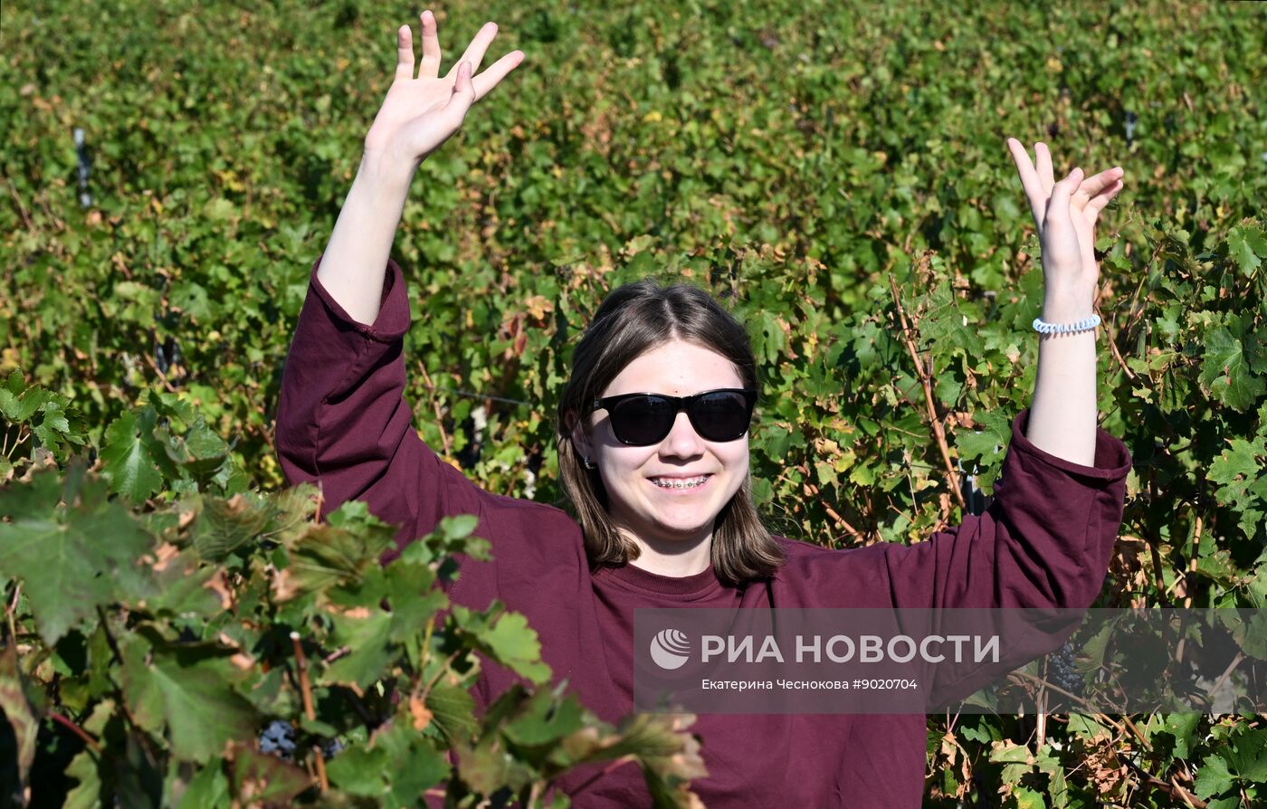 Фестиваль актуального российского кино "Маяк" в Геленджике