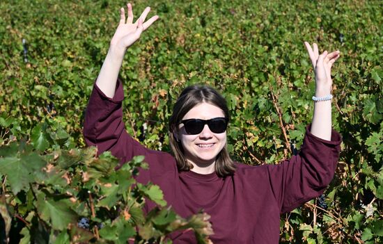 Фестиваль актуального российского кино "Маяк" в Геленджике