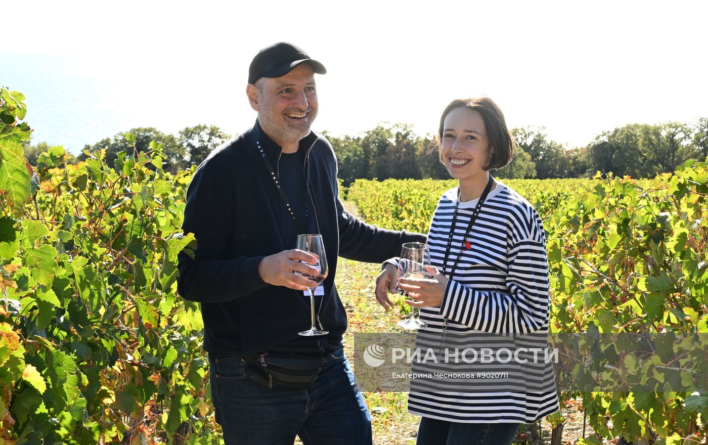 Фестиваль актуального российского кино "Маяк" в Геленджике