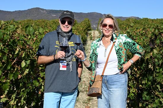 Фестиваль актуального российского кино "Маяк" в Геленджике