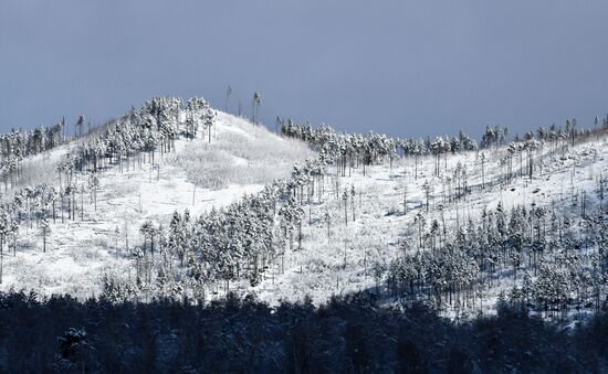 В Забайкалье выпал первый снег