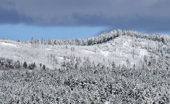 В Забайкалье выпал первый снег