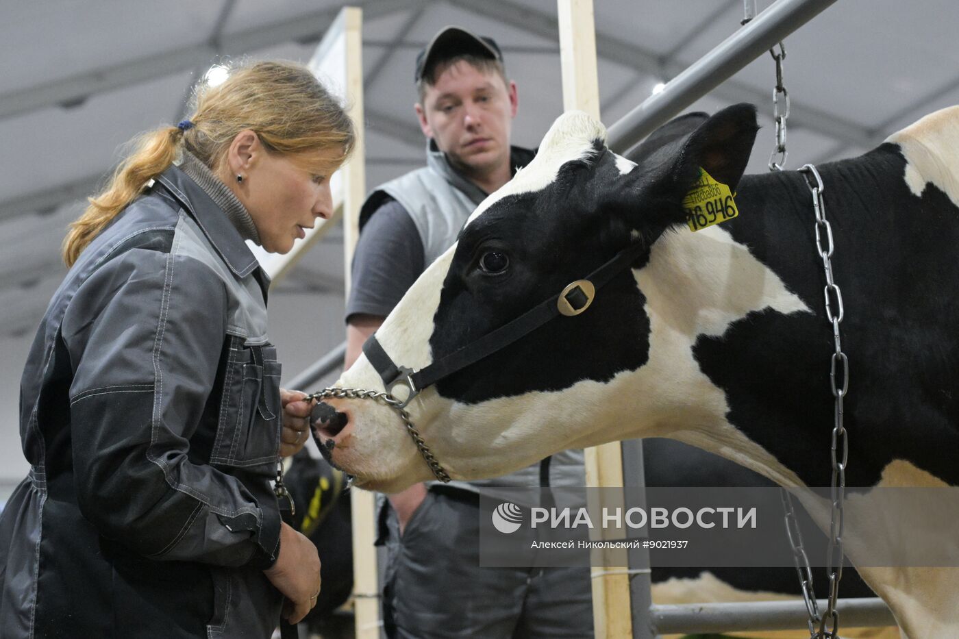 Российская агропромышленная выставка "Золотая осень – 2025" в Москве