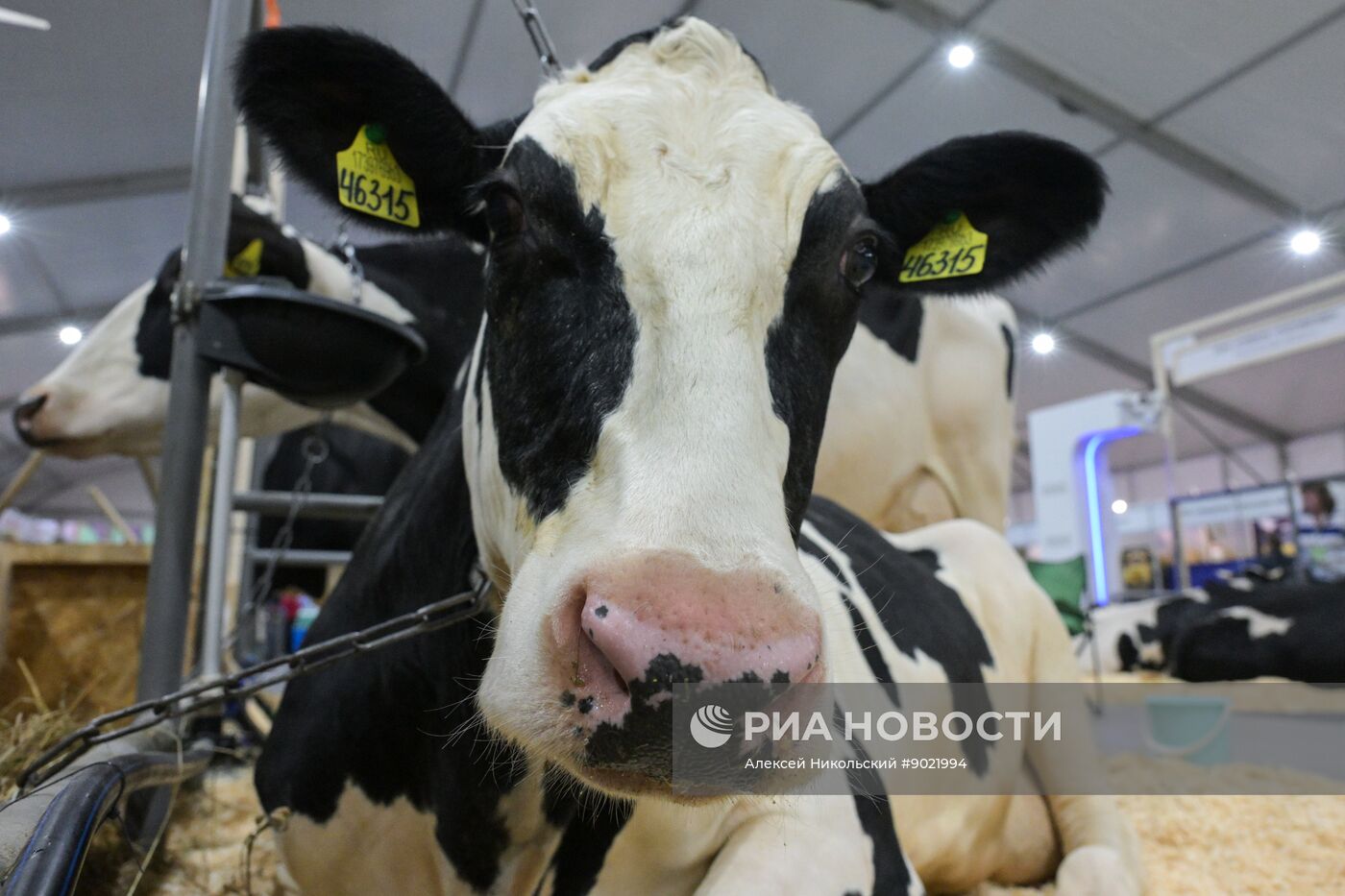 Российская агропромышленная выставка "Золотая осень – 2025" в Москве