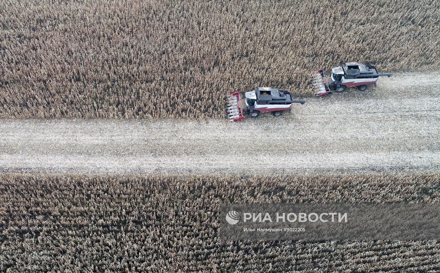 Фермерское хозяйство в Красноярском крае