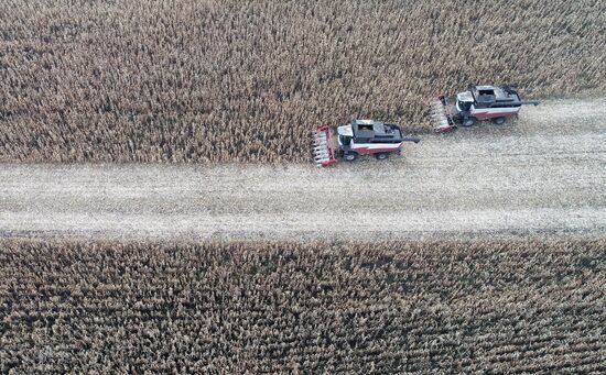 Фермерское хозяйство в Красноярском крае