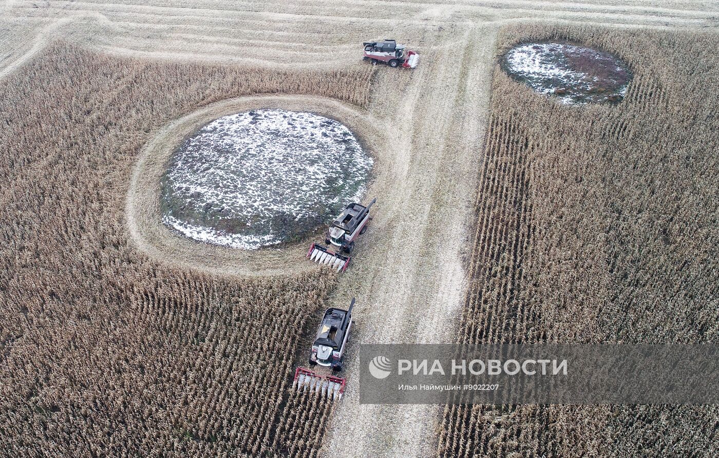 Фермерское хозяйство в Красноярском крае