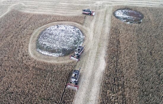 Фермерское хозяйство в Красноярском крае