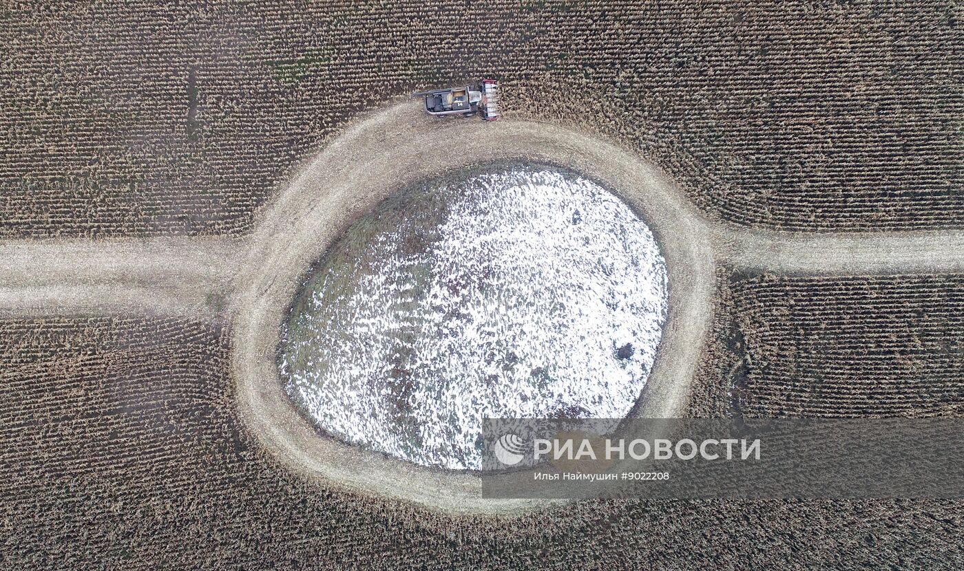 Фермерское хозяйство в Красноярском крае