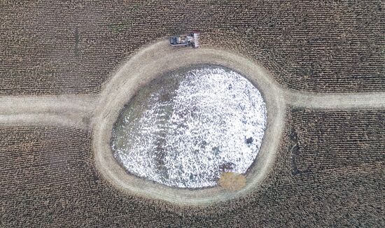 Фермерское хозяйство в Красноярском крае