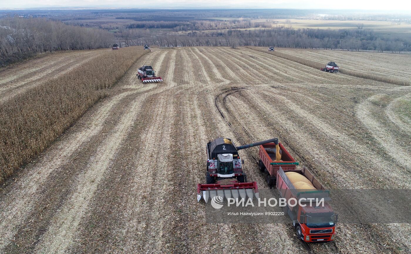 Фермерское хозяйство в Красноярском крае