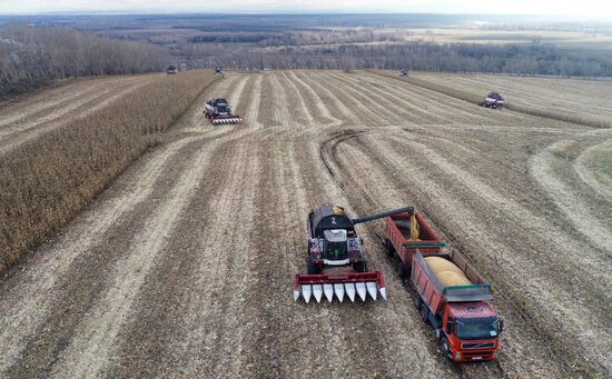 Фермерское хозяйство в Красноярском крае